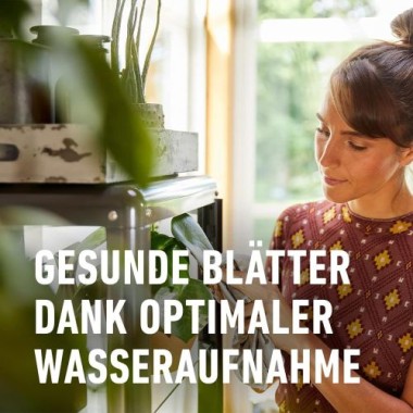 COMPO SANA Grünpflanzenerde und Palmenerde mit 12 Wochen Dünger, 5 Liter, 11420