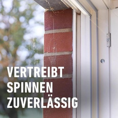 COMPO Spinnen-Raus, Vergrämungsmittel zum Vertreiben von Spinnen, Natürlicher Wirkstoff, 750 ml, 23024