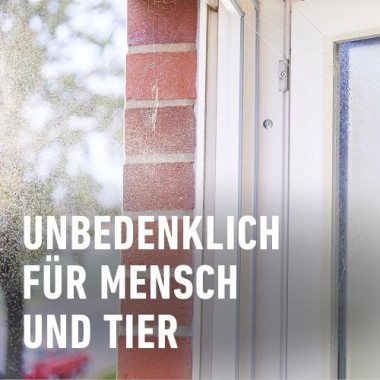 COMPO Spinnen-Raus, Vergrämungsmittel zum Vertreiben von Spinnen, Natürlicher Wirkstoff, 750 ml, 23024