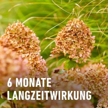 COMPO Stauden Langzeit-Dünger für Stauden und Blütensträucher, umweltschonend, 6 Monate Langzeitwirkung, 2 kg, 46 m², 23791