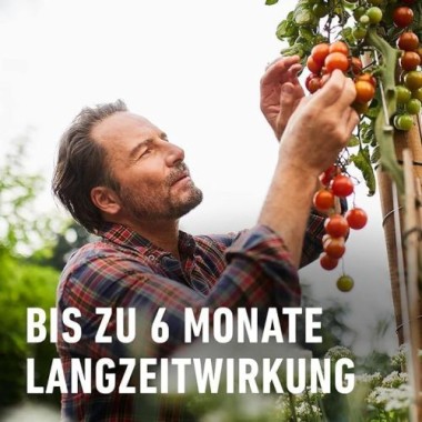 Compo Tomaten Langzeit-Dünger 850g, 26052