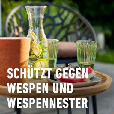 COMPO Wespen Schaum-Gel-Spray, Sofort- und Langzeitwirkung, 500 ml, 20601