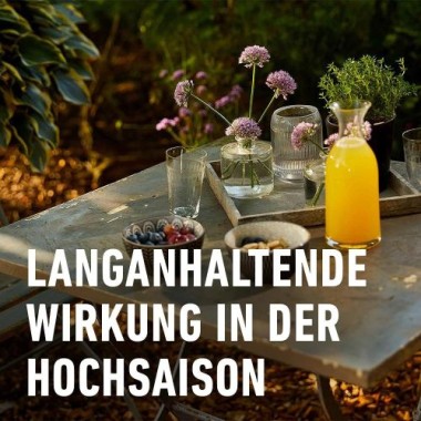 COMPO Wespen Schaum-Gel-Spray, Sofort- und Langzeitwirkung, 500 ml, 20601