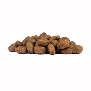 Preview: Wolfsblut Limited Ingredients Wide Plain, Adult, Trockenfutter, 1 kg, WB842259