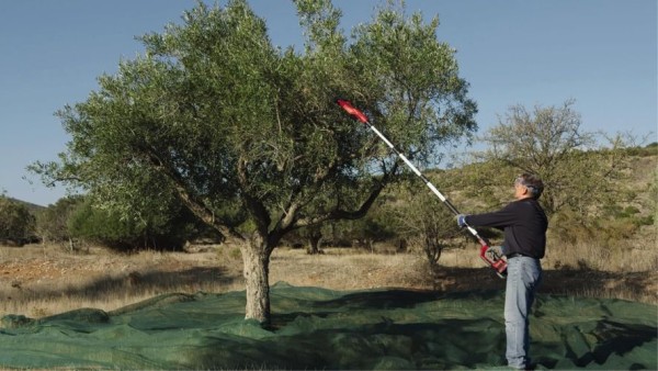 Preview: Einhell Akku-Oliven-/Obstrüttler GE-FS 18/53 Li-Solo