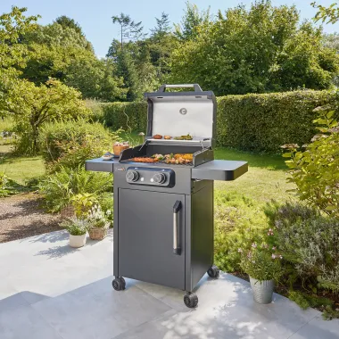 Preview: Mr. Gardener Elektrogrill Oregon, 50 x 39 cm, 4500 W, schwarz, 9751