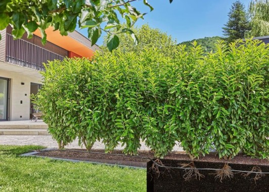 Gardena Micro-Drip-System Tropfrohr 1,6 l/h, ober- und unterirdische Verlegung (25 m), 13503-20