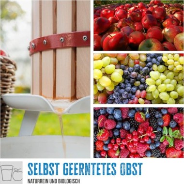 Preview: Güde Obstpresse OP 12, Saftpresse und Beerenpresse, mechanische Presse, 12 Liter, 30003