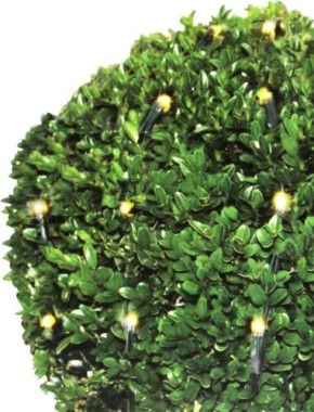 koopman Lichternetz für Buchsbäume, Ø120cm, 144 LEDs, warmweiß, AX8401330