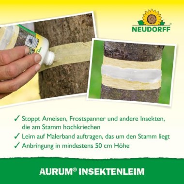 Neudorff Aurum InsektenLeim, schützt vor hochkriechenden Pflanzenschädlingen, 125 g, 3016