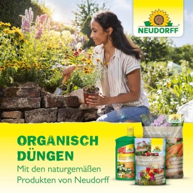 Neudorff Azet DüngeSticks für Tomaten und Erdbeeren – Bio Düngestäbchen für viele leckere Tomaten und Erdbeeren mit 2 Monaten Langzeitwirkung, 40 Sticks 1415
