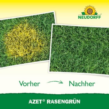Neudorff Azet Rasengrün – Frischt gelblich verfärbte Stellen im Rasen sattgrün auf, 250 ml 1397