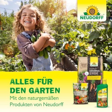 Neudorff Azet Vegane Hornspäne – 100% natürlicher Stickstoff-Langzeitdünger für alle Pflanzen, 2 kg 1436
