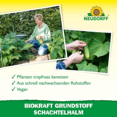 Neudorff BioKraft Grundstoff Schachtelhalm, gegen Pilzkrankheiten an Obst und Gemüse, 500 ml, 1995