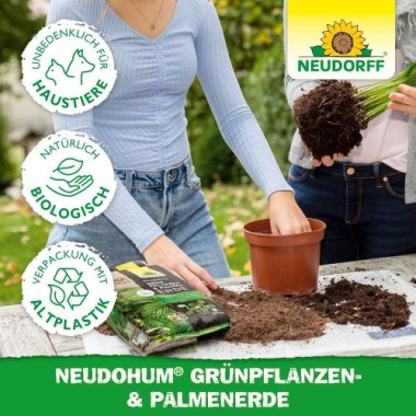 Preview: Neudorff NeudoHum Grünpflanzen und Palmenerde 3 Liter,  01008