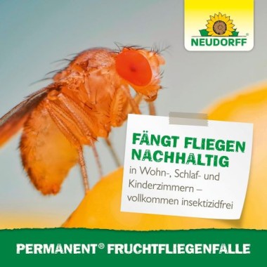 Neudorff Permanent FruchtfliegenFalle – Beseitigt zuverlässig Frucht-, Obst- und Essigfliegen, 1 Stk, 01486