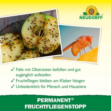 Neudorff Permanent FruchtfliegenStopp – Fängt effektiv Frucht,- Obst- und Essigfliegen mit 3 Monaten Langzeitwirkung. Geruchlos und insektizidfrei, 3 Stück 1379