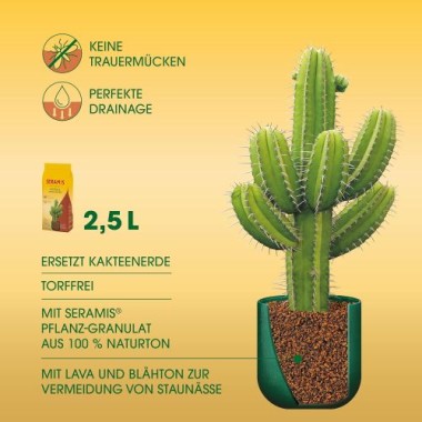 Seramis Spezial-Substrat für Kakteen und Sukkulenten, 2,5 l, 731755