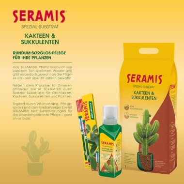 Preview: Seramis Spezial-Substrat für Kakteen und Sukkulenten, 2,5 l, 731755