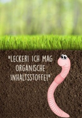 Substral Bio Bodenaktivkur, natürlicher Bodenaktivator und -verbesserer für Garten- und Rasen, 10kg, 8746