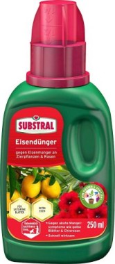 Substral Eisendünger, Flüssigdünger gegen Eisenmangel an Zierpflanzen und Rasen , 250 ml, 7391