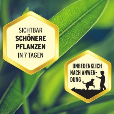 Substral Flüssigdünger für Grünpflanzen & Palmen - 500 ml, 73920