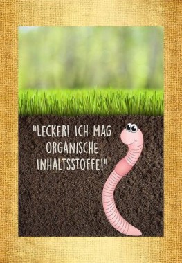 Substral Naturen Bio Rasendünger, organischer Volldünger, 3 Monate Langzeitwirkung, bis 250 m², 10 kg 8856