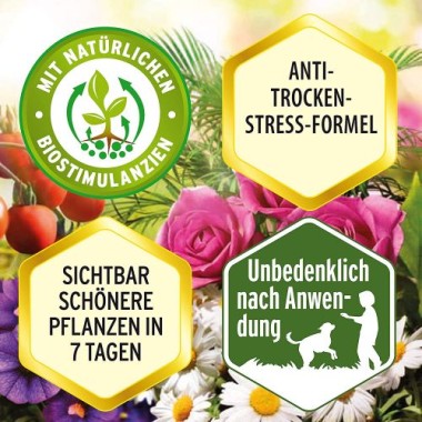 Substral Pflanzennahrung Nahrung, Qualitäts-Flüssigdünger, 1 Liter 7399