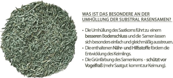 Substral Rasensamen Der Robuste, 2 kg für 100 m², 86121