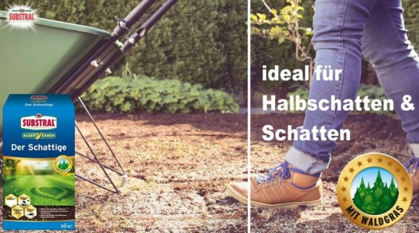 Substral Rasensamen Der Schattige, 1 kg für 50 m², 84961