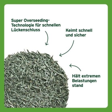 Substral Rasensamen Sport und Spiel, strapazierfähige Rasensaat-Mischung, 10kg, 500m², 86251