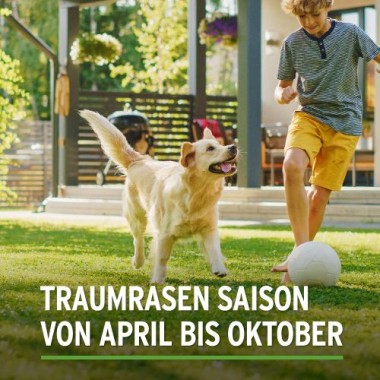 Substral Rasensamen Sport und Spiel, strapazierfähige Rasensaat-Mischung, 10kg, 500m², 86251