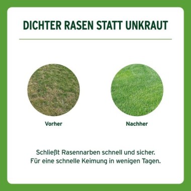 Substral Rasensamen Sport und Spiel, strapazierfähige Rasensaat-Mischung, 10kg, 500m², 86251