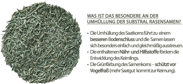 Substral Rasensamen Sport und Spiel, strapazierfähige Rasensaat-Mischung mit Grünfärbung gegen Vogelfraß, 2kg, 100m², Blau 2kg - 100qm Single 87971