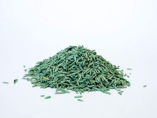 Substral Rasensamen Sport und Spiel, strapazierfähige Rasensaat-Mischung mit Grünfärbung gegen Vogelfraß, 2kg, 100m², Blau 2kg - 100qm Single 87971