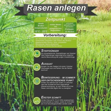 Substral Vertikutiermix Rasenreparatur-Mischung aus Rasensamen, Rasendünger und Bodenaktivator, für 133 m² kg, 4 kg Sack, 86931