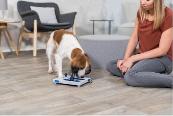 TRIXIE Dog Activity, Mini Mover Strategiespiel für Hunde, 25 x 20 cm, 32029