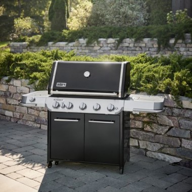Weber Summit FS38 E Gasgrill, 1500057
