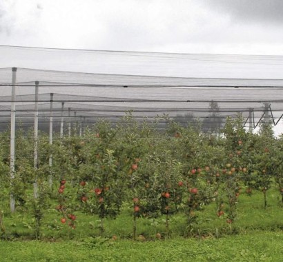 Windhager Hagelschutz-Netz, Maschenweite 8 mm, 5 x 4 m, grün, 06773