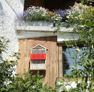 Windhager Insektenhotel 5 STERNE, aus Massivholz, gefüllt mit Rinde und Schilfrohr 06974