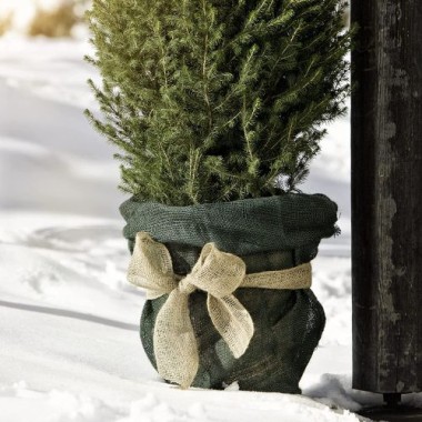 Preview: Windhager ÖKO, Jute, Stoff, Kartoffel-Sack, Deko-Beutel, Multifunktionaler Jutesack, Winterschutz für Topf-und Kübelpflanzen, grün, 70 x 100cm, 06071 06071