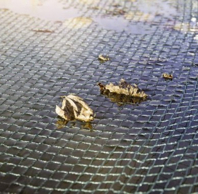 Preview: Windhager Laubschutz-Netz, inkl. 10 Netzhaltern, Grün, 5 x 4 m, 06050