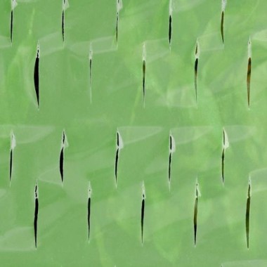 Windhager Tomaten-Folienhaube mitwachsend, Folie für Tomaten, 1,25 x 0,65 m, grün, 06765