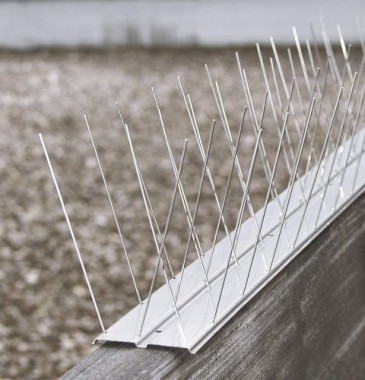 Windhager Vogel- & Taubenabwehr CLASSIC, Set aus Edelstahl-Leiste und Edelstahl-Spikes, 5,8 x 60 x 11 cm, 07130
