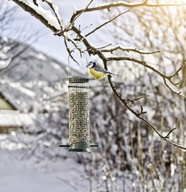 Windhager Vogelfuttersilo Easy, zum Aufhängen, 100 x 140 x 260 mm, 06869