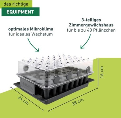 Windhager Wurzelvorschule RootXtender, Zimmergewächshaus für 40 Pflanzen, 05849