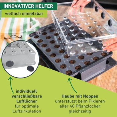 Windhager Wurzelvorschule RootXtender, Zimmergewächshaus für 40 Pflanzen, 05849