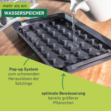 Windhager Wurzelvorschule RootXtender, Zimmergewächshaus für 40 Pflanzen, 05849