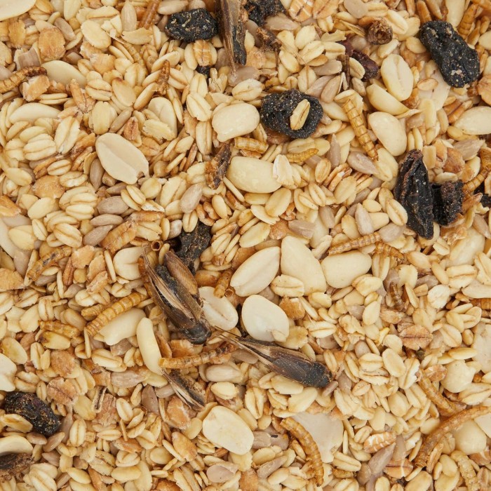 Gartenkrone Vogelfutter Streu-Mix mit Insekten, 2,5 Kg, 79839