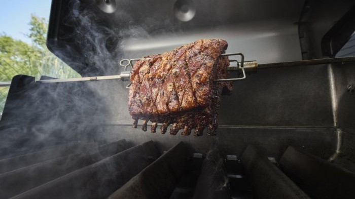 Weber Genesis E-435W Gasgrill, 1501258